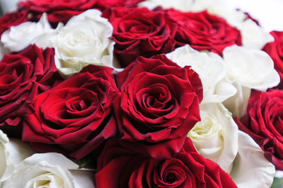 黃玫瑰之約 典雅花卉的營銷魅力