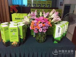 共謀發展，鵬森緣柳州客戶交談會盛大舉行，禮品花卉銷售迎春綻放